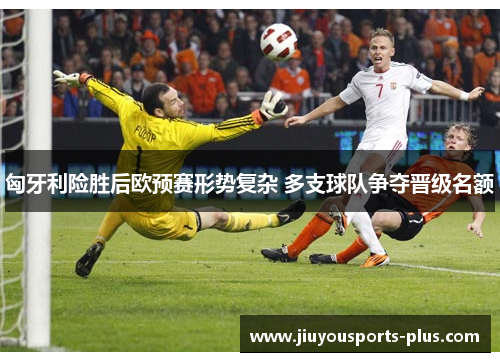 匈牙利险胜后欧预赛形势复杂 多支球队争夺晋级名额